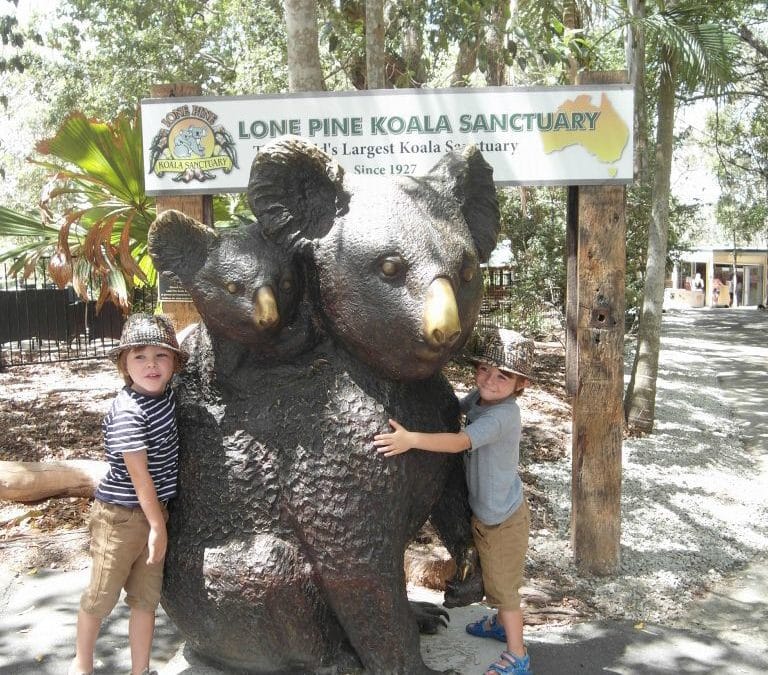 Days out for kids around Brisbane: Lone Pine Koala Sanctuary
