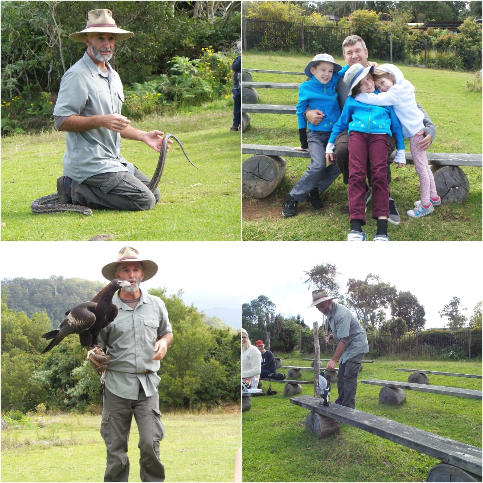 A collage of images of activities at O'Reilly's Rainforest Retreat