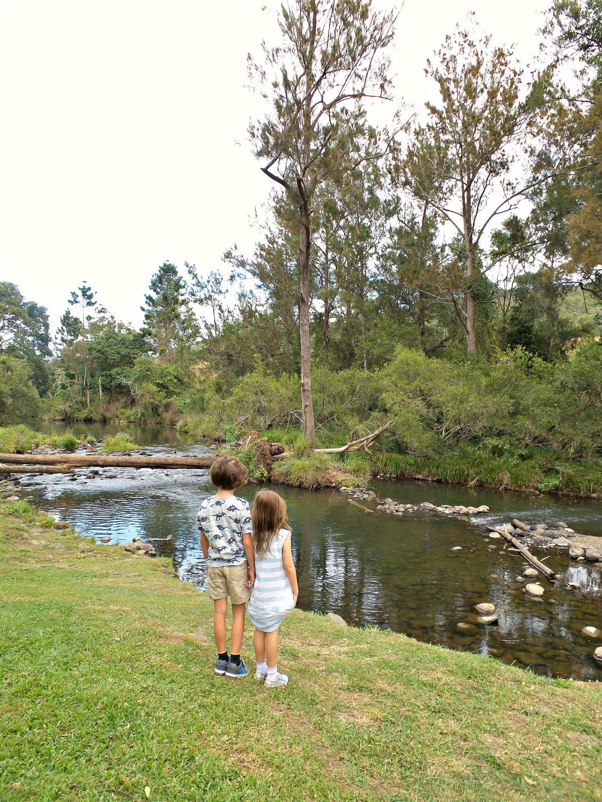 Two children standing on the banks of the creek at Canungra Valley Vineyard