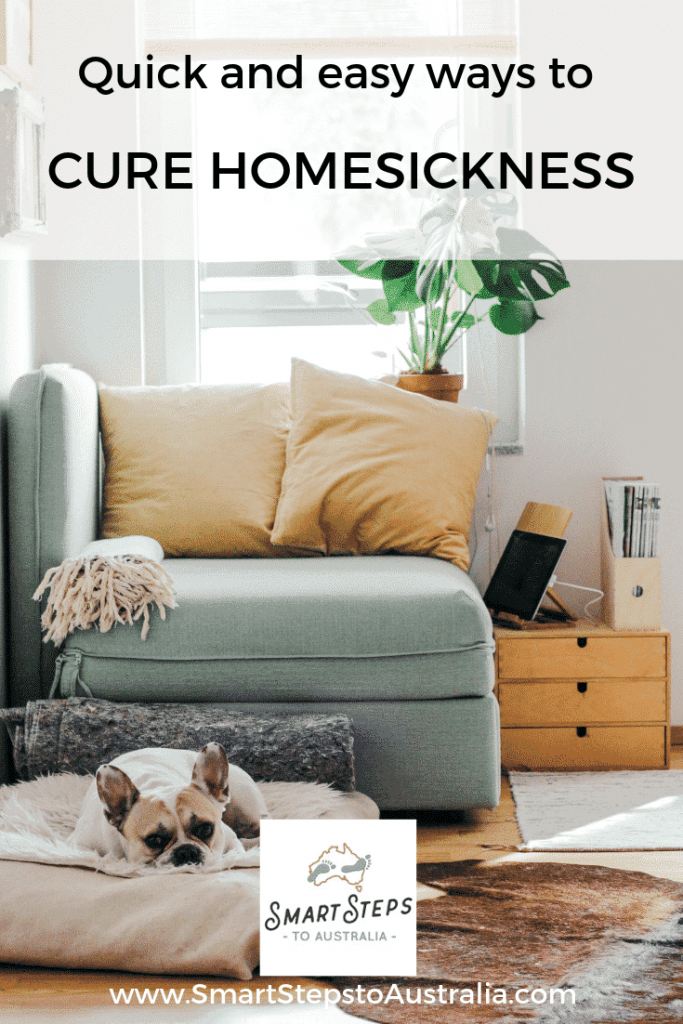 Pinterest image about how to cure homesickness with an image of a dog sitting in a living room