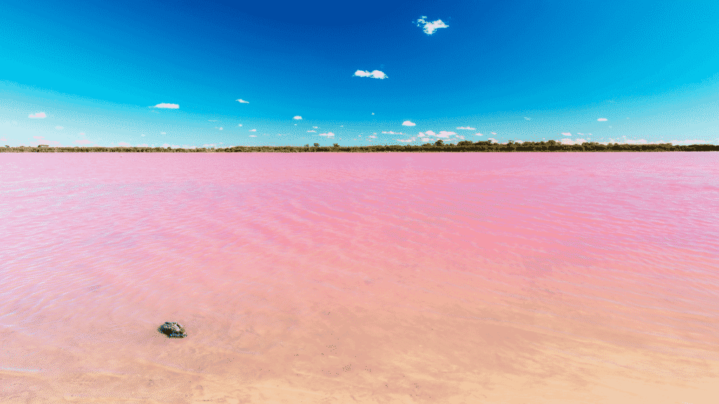 The pink lake at Domboola, Victoria