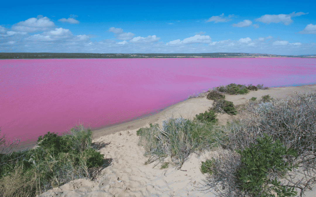 17 incredible pink lakes: Pink lake Australia guide 2022