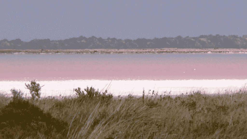 A photo of Hutt Lagoon's pink waters