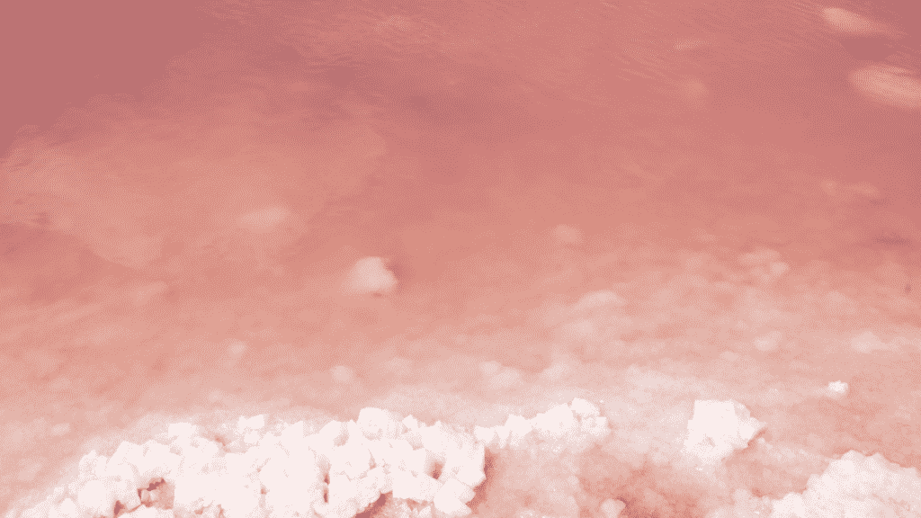 Some salt in a dried up salt pink lake