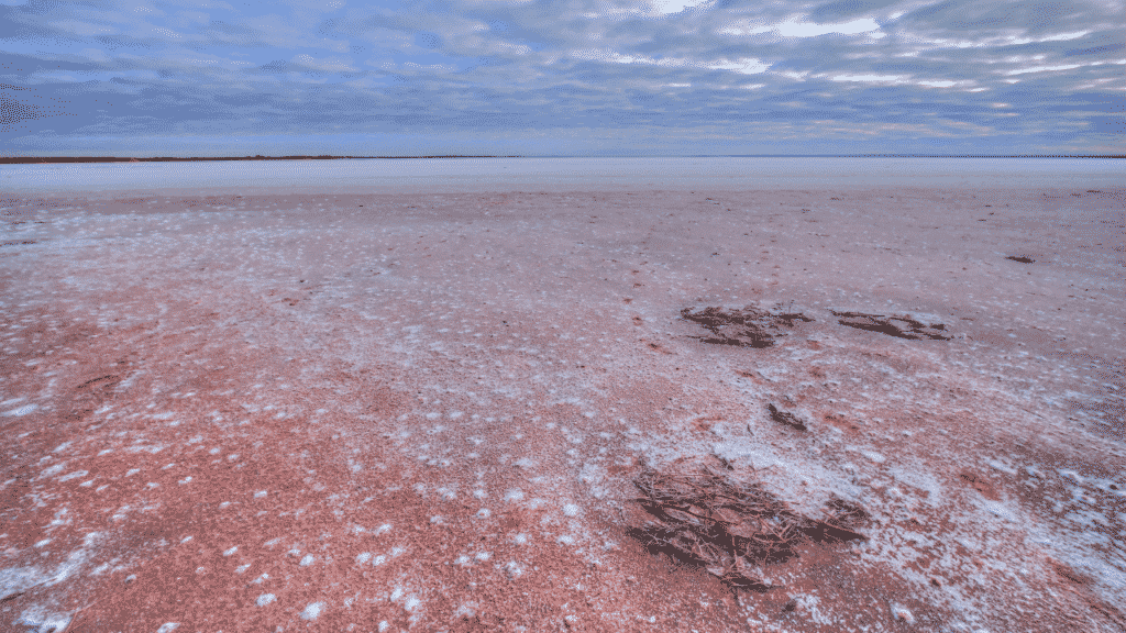 A view across pink lake Hart in South Australia