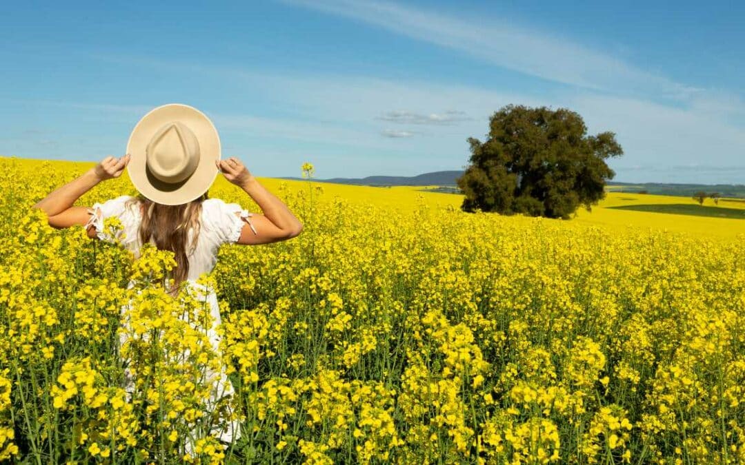 When is spring in Australia? Your guide to spring Down Under