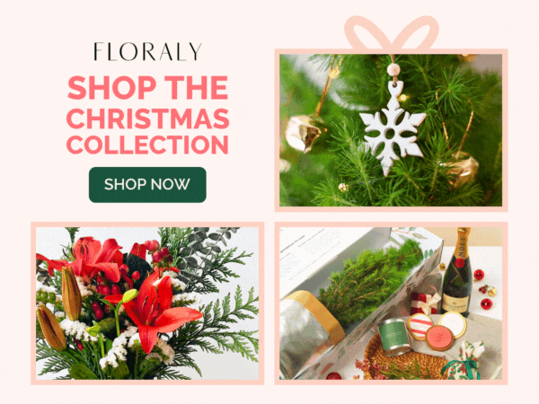 Send Christmas flowers to Australia with Floraly