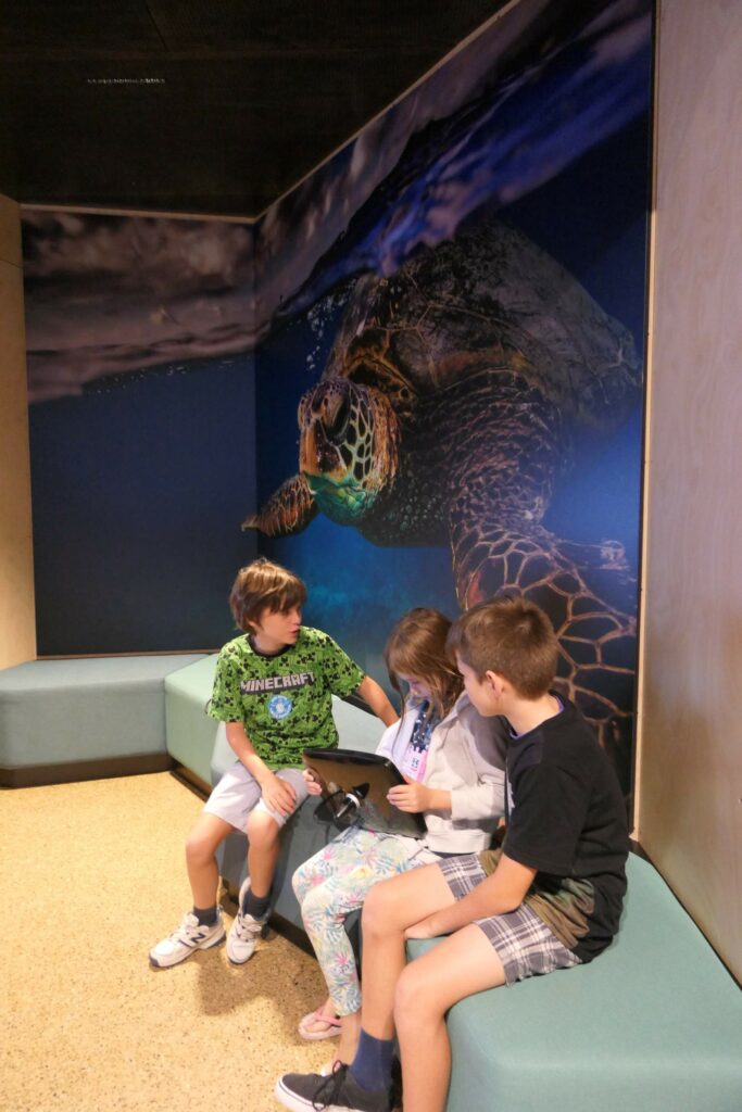 Kids exploring Mon Repos Turtle Centre